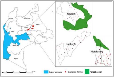 Do food security indicators vary between male and female-headed households? Evidence from legume farmers in Western Kenya